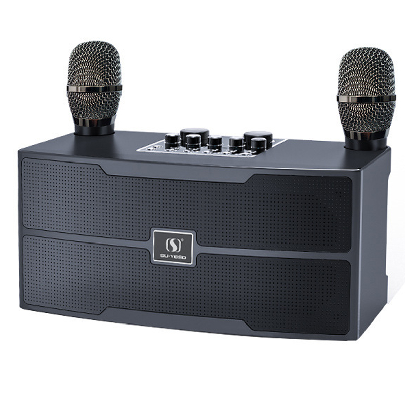 120W High Power Wireless Porta - Audio X Music recension och pris